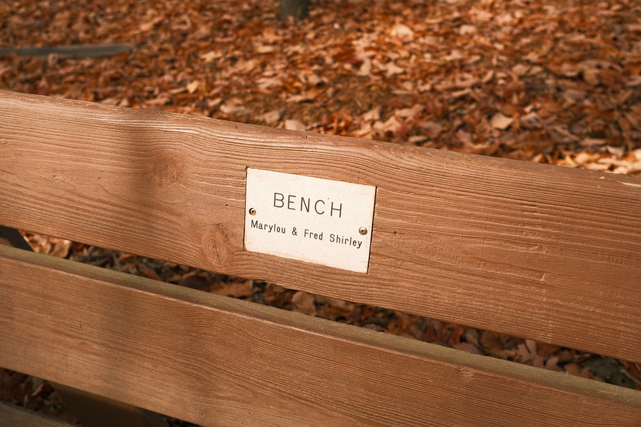 Bench